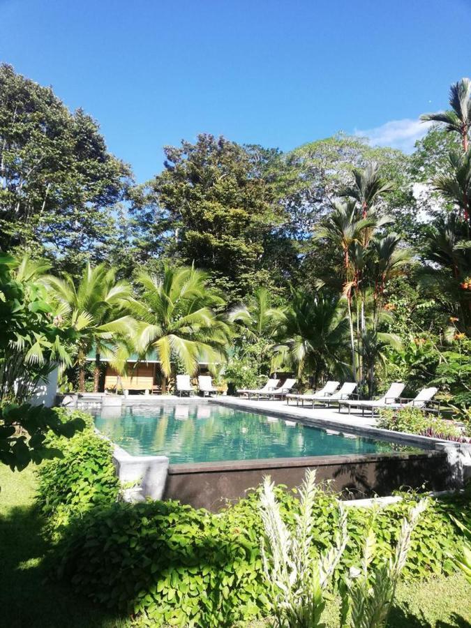 Passion Fruit Lodge Cahuita Exterior photo