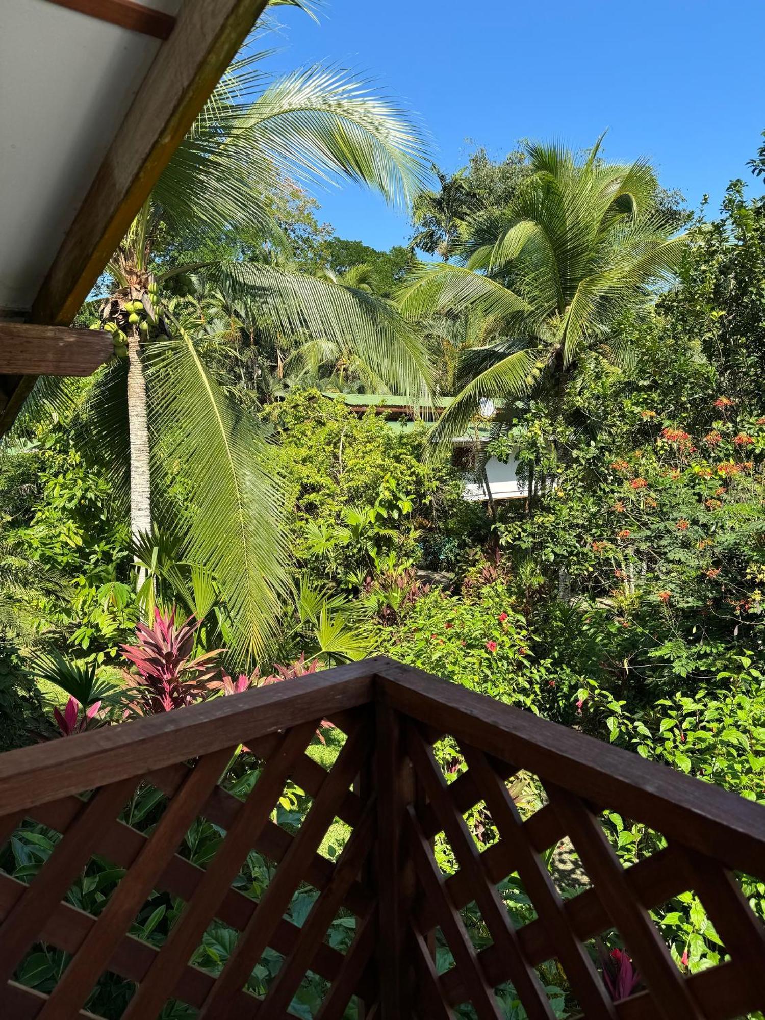 Passion Fruit Lodge Cahuita Exterior photo