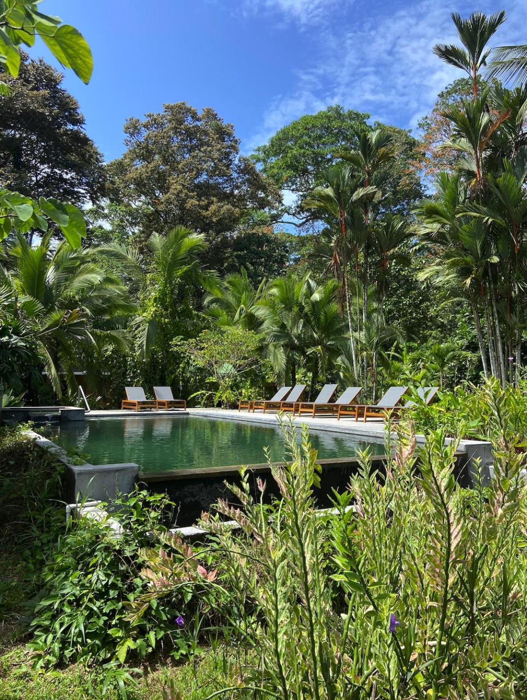 Passion Fruit Lodge Cahuita Exterior photo